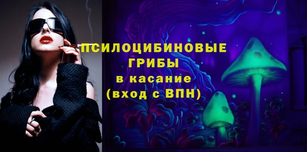 прущие грибы Бугульма