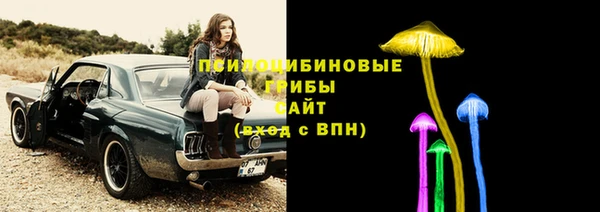 мдма Бородино