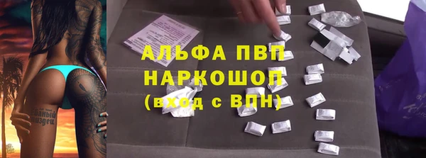 прущие грибы Бугульма