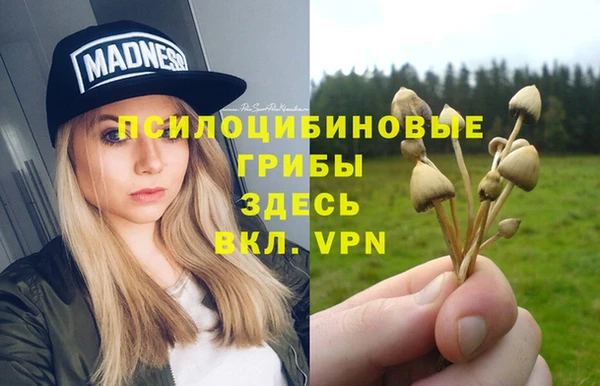 твердый Верхний Тагил