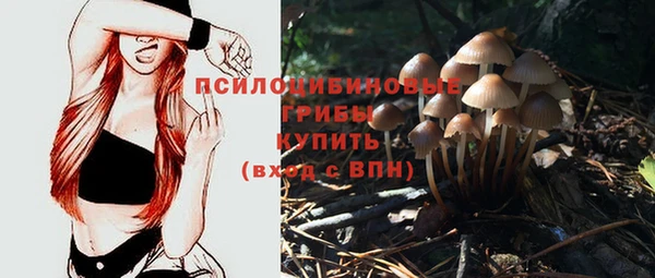 а пвп мука Бронницы